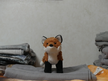 Unnamed 11 (Red Fox, Douglas)